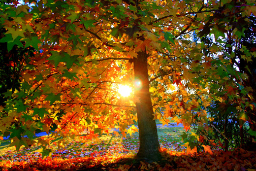 686872 (a): :2580x1720